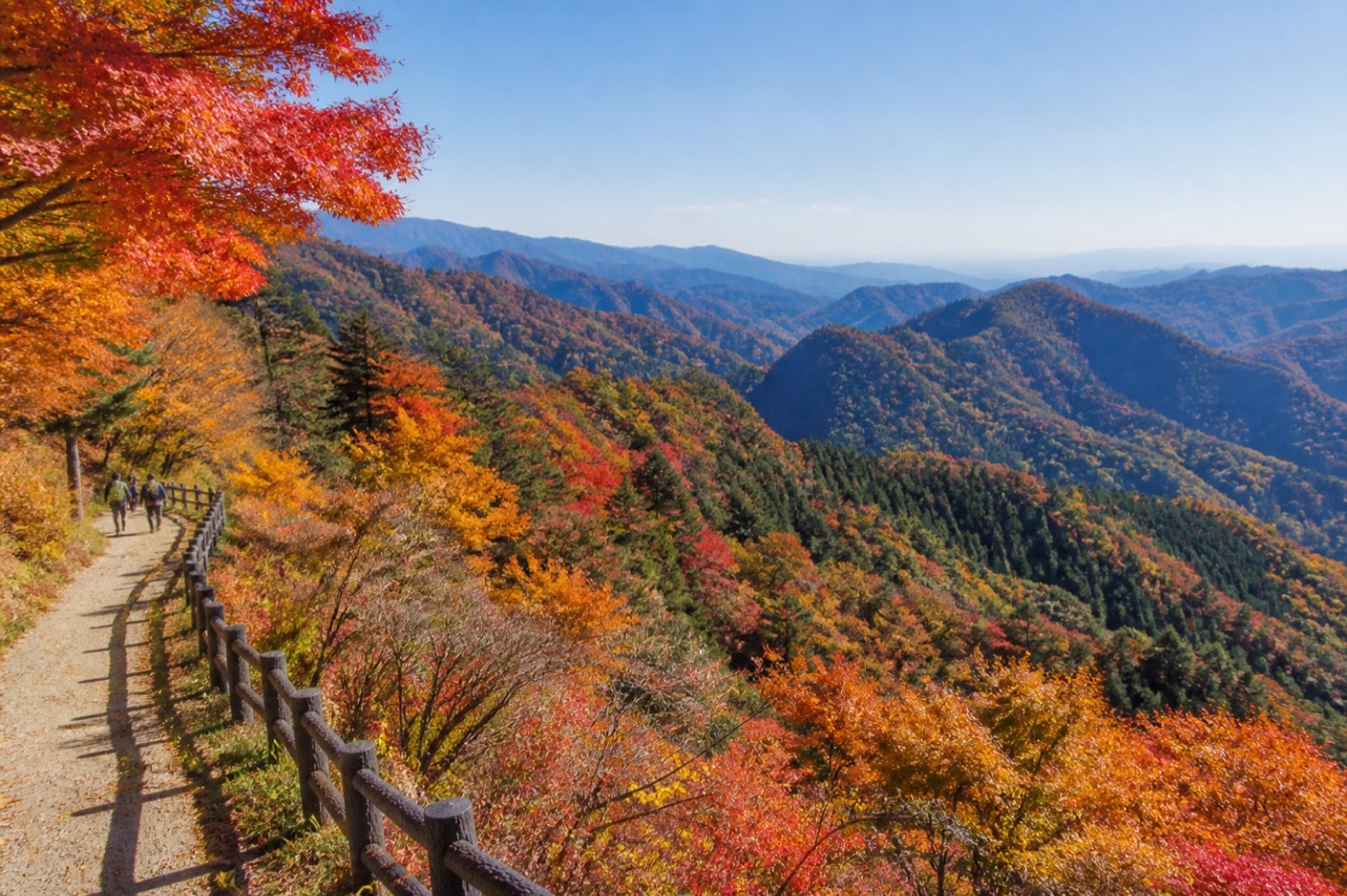 A safe mountain path overlooking red, orange and gold autumn forest near Tokyo